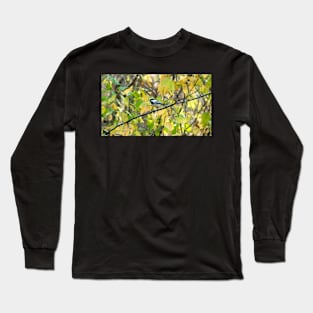 Black-capped Chickadee Perched On a Tree Branch Long Sleeve T-Shirt